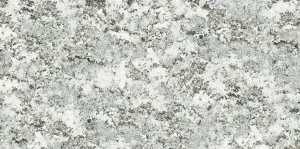 Aleska White 12T porcelain tile slab