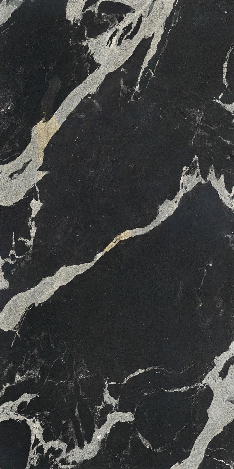 블랙 스완 (Black Swan)