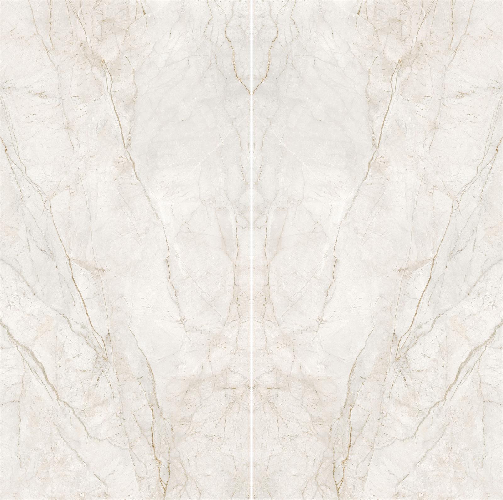 실버 루트 (Silver Root)